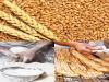 یارانه گندم در بودجه سال آینده 300 همت شد